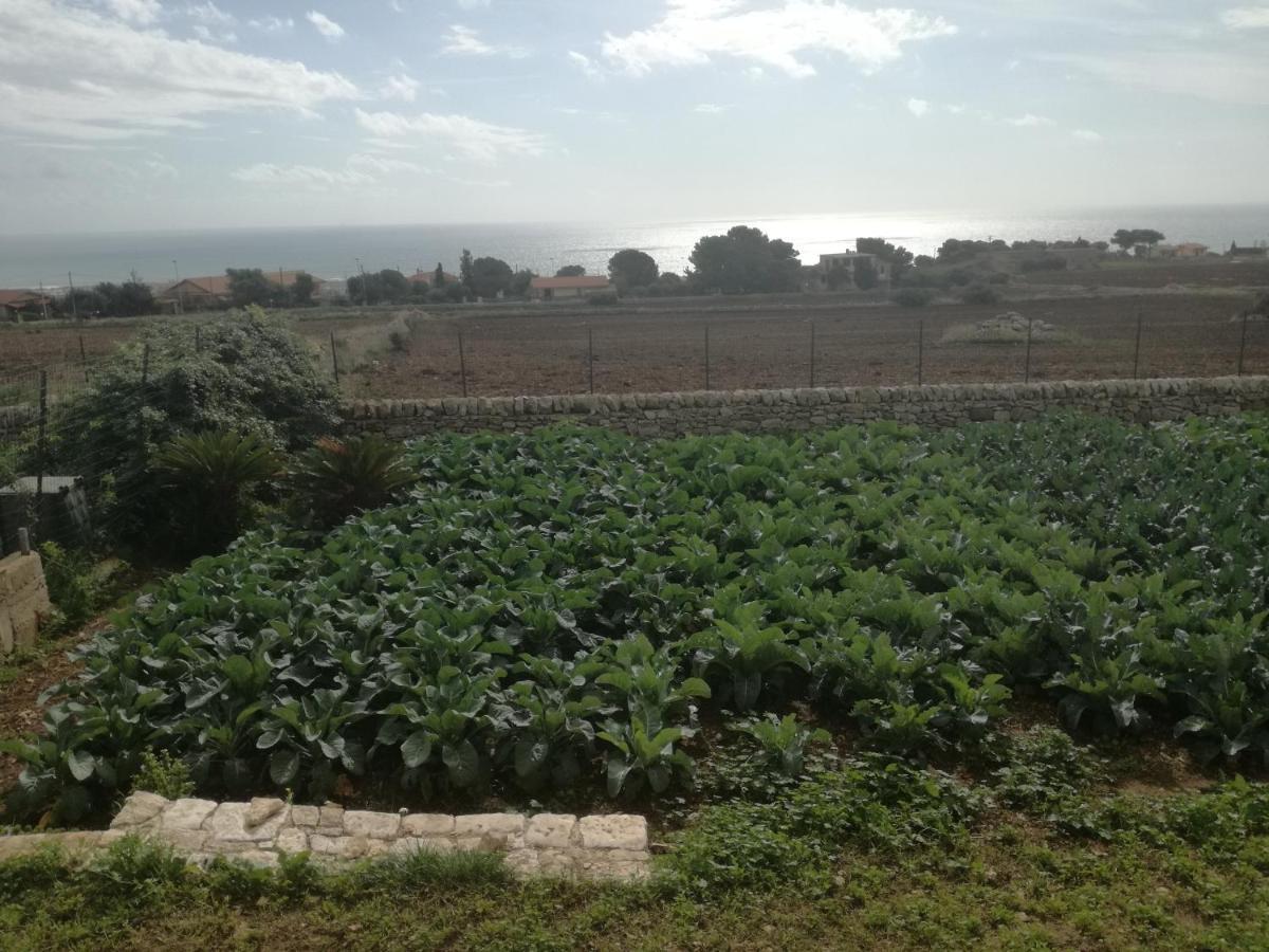 Villa Bove Marina di Ragusa Luaran gambar